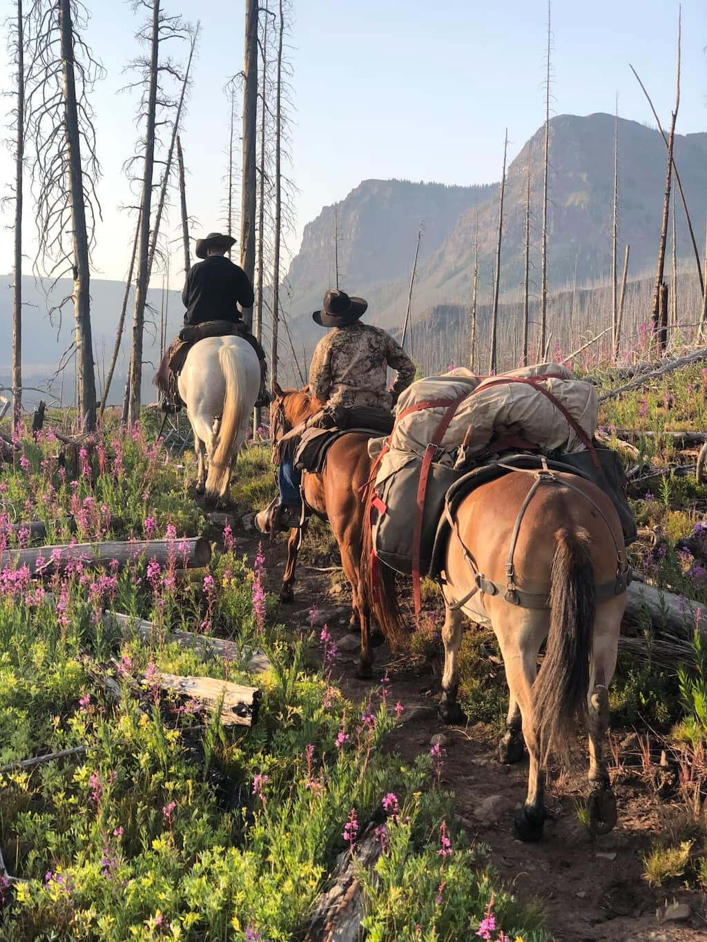 Sable Mountain Outfitters Sable Mountain Outfitters