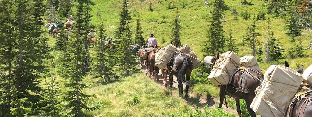 Mills Wilderness Adventures Mills Wilderness Adventures