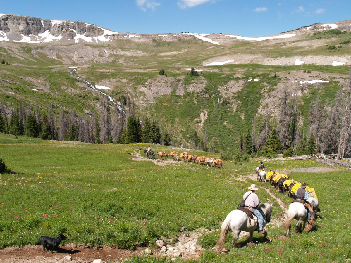 Yellowstone Outfitters WY Yellowstone Outfitters WY