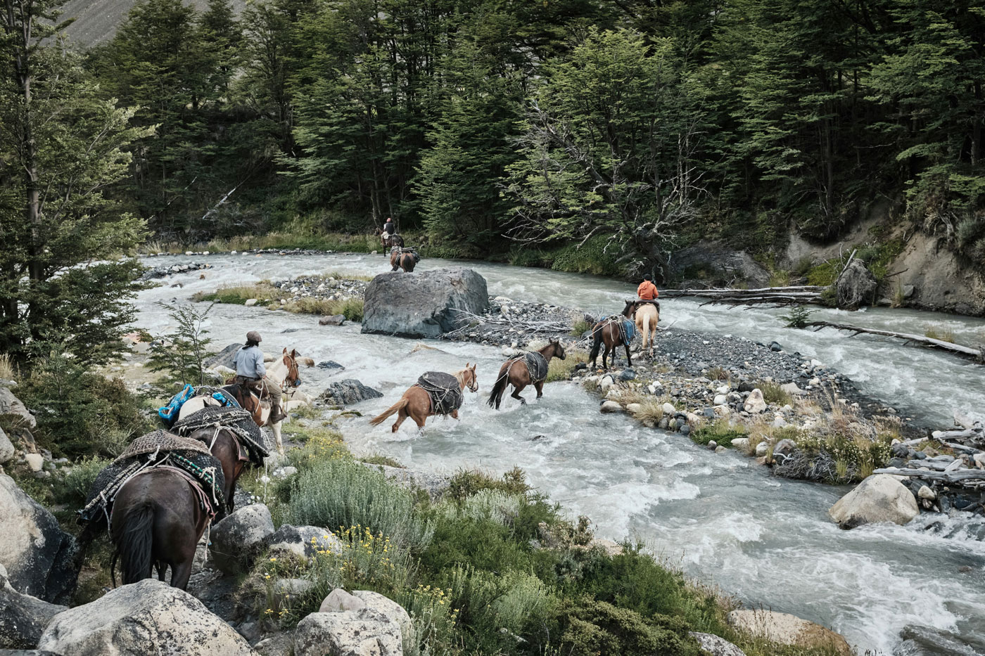 Pack trippers on horseback